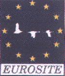 eurosite1.jpg （ 6701字节）