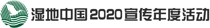 湿地保护2020宣传年度活动
